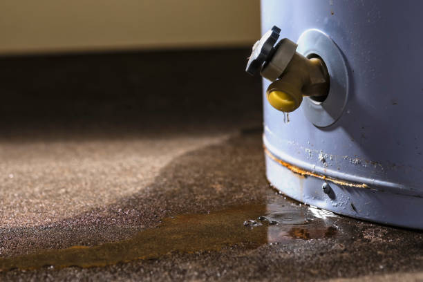 Best Ceiling water damage repair  in Freeport, IL