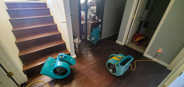 Best Local water damage restoration  in Freeport, IL