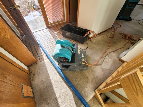 Best Basement water damage restoration  in Freeport, IL