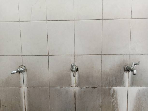 Best Emergency water damage restoration  in Freeport, IL