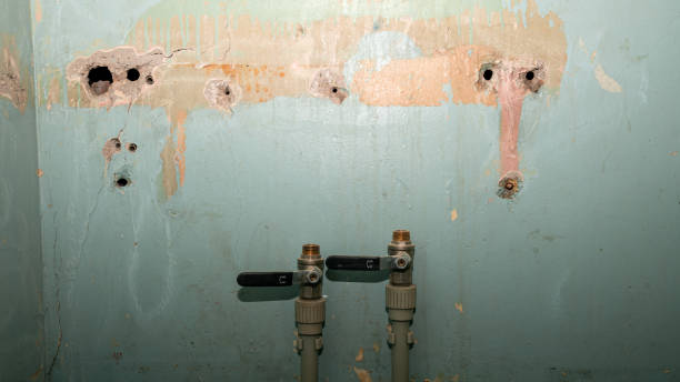 Best Carpet water damage restoration  in Freeport, IL