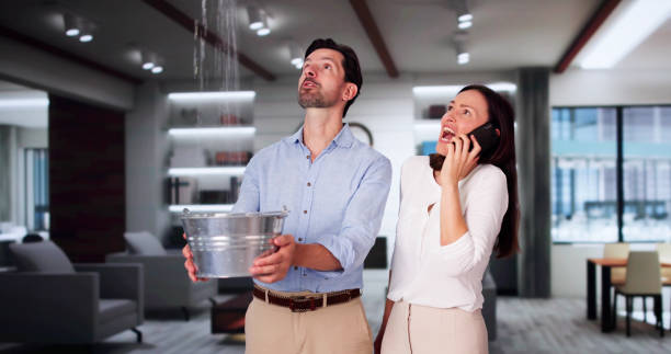 Best Professional water damage repair  in Freeport, IL